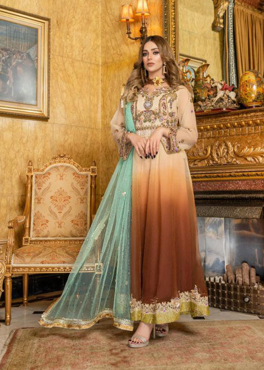sky blue colour combinations indian dress Ferozi Colour Combination For  Punjabi Suits punjabi s… | Pakistani dress design, Colorful dresses, Indian  designer outfits